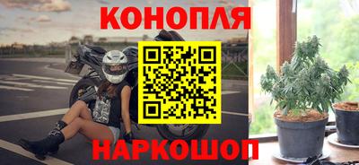 a pvp Аргун
