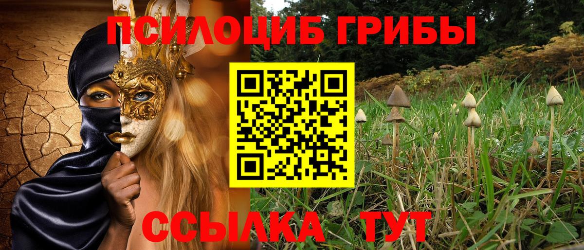 Галлюциногенные грибы Psilocybe Верхняя Пышма