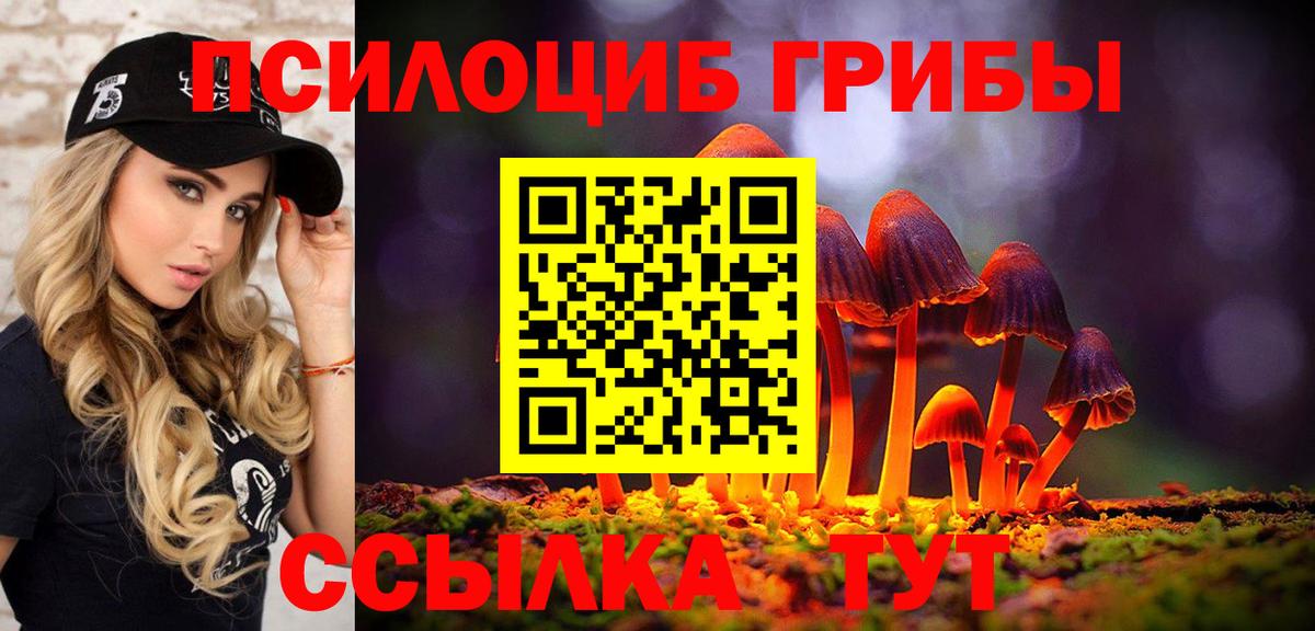 Верхняя Пышма  Галлюциногенные грибы Psilocybine cubensis  Вход с VPN 